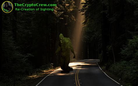 Bigfoot Sighting In Kentucky ~ The Crypto Crew