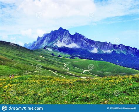 Alpine Pastures And Meadows On The Slopes Of Appenzell Alps Mountain