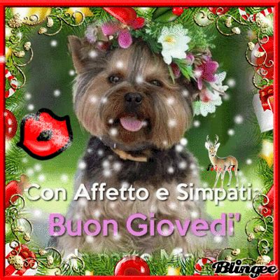Buongiorno e buon giovedì immagini bellissime. Buon giovedì gif 2 » GIF Images Download