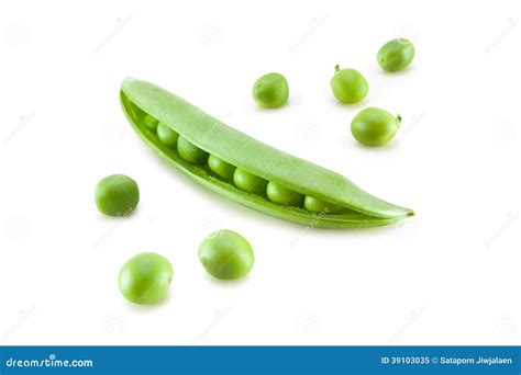 Fresh Green Pea In The Pod Isolated Stock Image Image Of Green Open