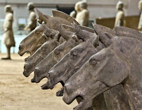 terracotta warriors and horses - Google Search | Terracotta Warriors | Terracotta army, Ancient ...