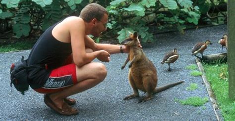 Wildlife Rescue Australia
