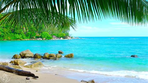 Tropical Island Beach Ambience Sound Thailand Ocean Sounds For Relaxation And Holiday