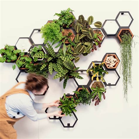 Indoor Living Wall Kit Extra Large Kit 24 Planters 12 Frames