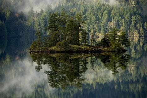 Forest Lake Island Mist Reflection Volcano Crater Oregon Mountains