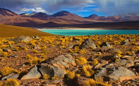 Nature Landscape Photography Lake Shrubs Mountains Atacama Desert Chile Wallpapers Hd