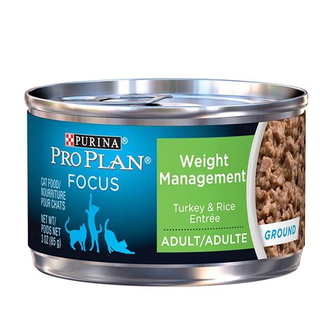 Best wet cat food for weight loss. Best Cat Food For Weight Loss Top Picks and Buying Guide