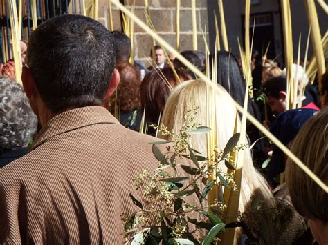Palm Sunday Procession Catholic Stock Photo