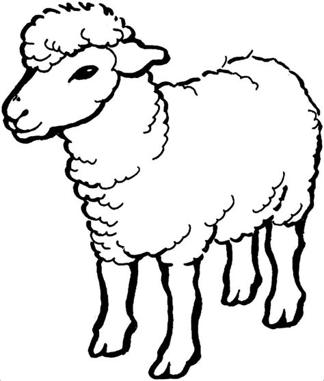 Lamb Coloring Page Preschoolers Coloringbay