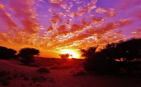 Colors Desert Sunset Vibrant Colors Sunset