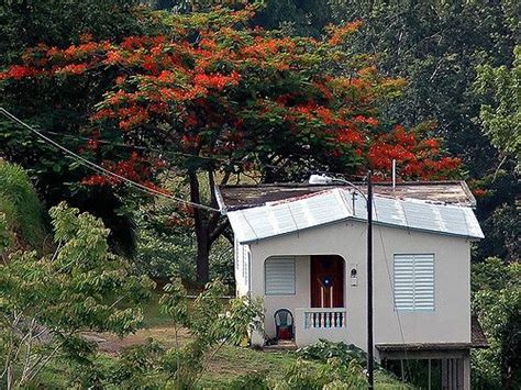 Tipical Country Home Puerto Rican Culture Puerto Rico Country House