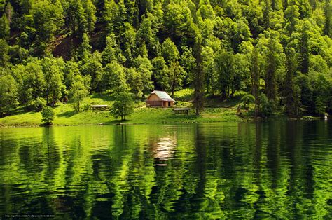 Download Wallpaper Forest Lake Cabin Landscape Free