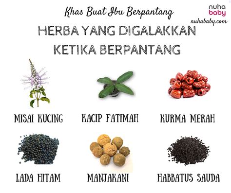 Harap korang enjoy video ni ok! MAKANAN DAN MINUMAN KETIKA BERPANTANG - SenangEja.com