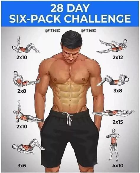 28 Days To Six Pack Abs Workout Plan Allenamento Addominali Esercizi
