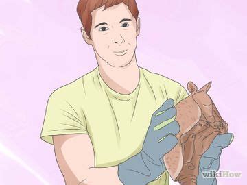 How do you keep armadillos out of your yard? Get Rid of Armadillos | Armadillo, Pictures, Rid