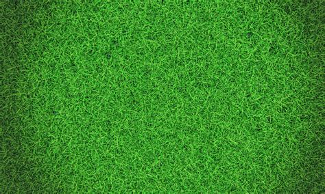 Grass Wall Stock Photos Images And Backgrounds For Free Download