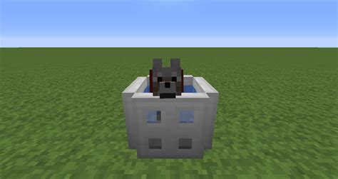 In the world of minecraft, an axolotl is an aquatic creature that attacks most of the other underwater beings such as fishes, squids, browned's and guardians. Can't believe they added axolotl already... : Minecraft