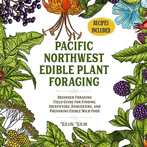 Foraging Wild Edible Plants In The Pacific Northwest A