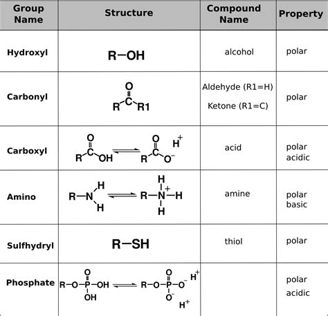 Functional Groups In Phospholipids Table Of Functional Group