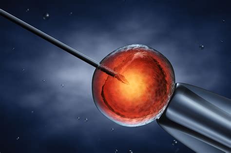 Bioéthique Au Sénat Rejet Surprise De La Congélation Des Ovocytes