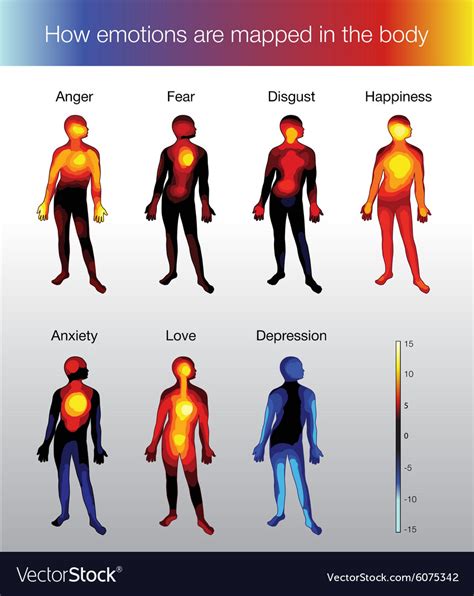 Heat Map Of The Human Body Depending On The Vector Image