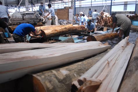 Industri kehutanan yang menggunakan kayu sebagai bahan bakunya. Pabrik Kayu Lapis Ini Jadi Industri Pertama yang ...