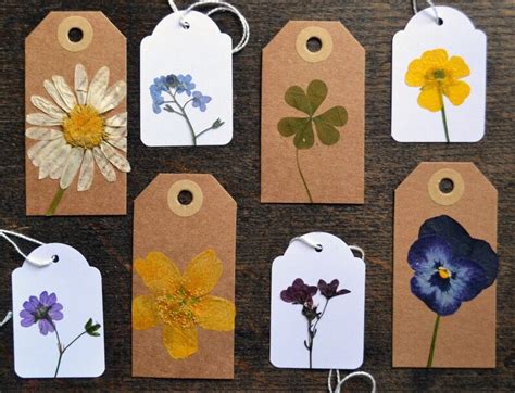 Beautiful Idea 💡🌼🌸 Pressed Flower Crafts Pressed Flower Art Flower