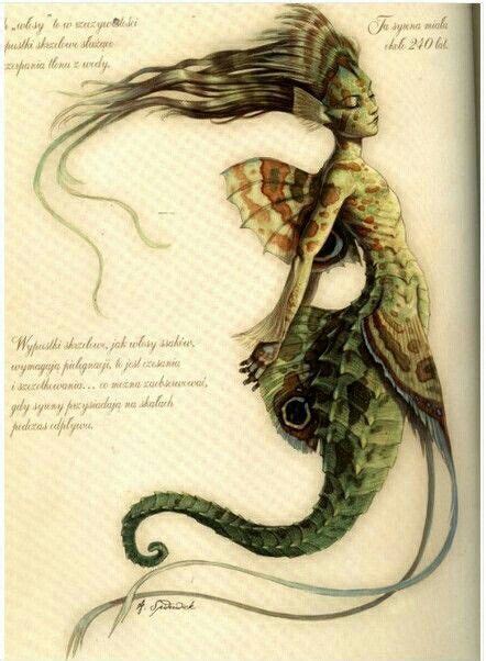 Mermaid Spiderwick Chronicles Mermaid Art Merfolk