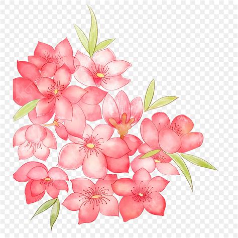 수채화 일러스트 꽃 투명 장식 재료 꽃들 삽화 무료 자료 Png 일러스트 및 Psd 이미지 무료 다운로드 Pngtree