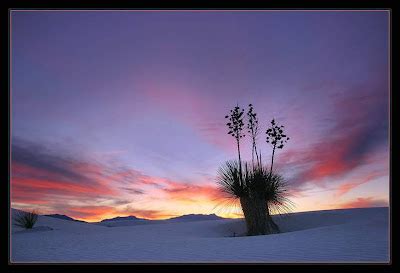 Fotos de Natureza: O mundo em imagens