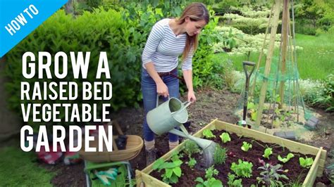 How To Grow Vegetables In Raised Bed Gardens Youtube