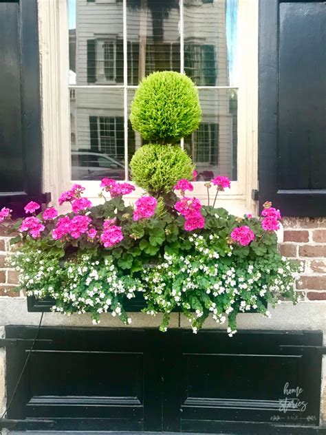 Flower Box Ideas Window Flower Box Inspiration From Charleston Homes