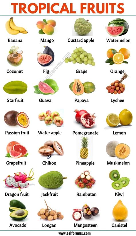 List Of Fruits List Of 40 Popular Fruit Names With Fruit List