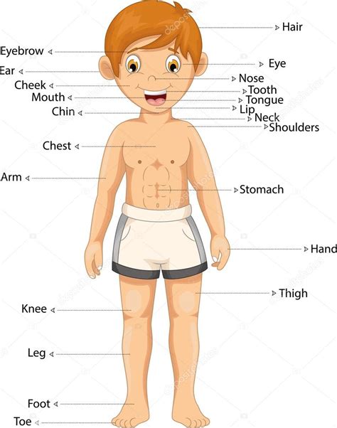 Boy Body Part Cartoon Stock Photo By ©starlight789 126448736