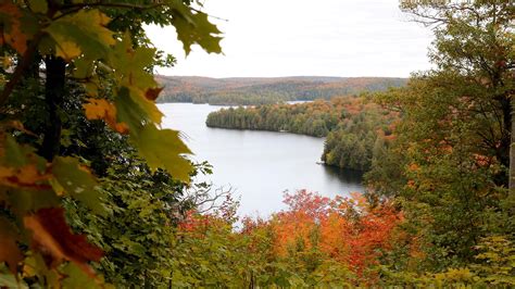 Algonquin Park Scenic Drive Pursuits With Enterprise Enterprise Rent