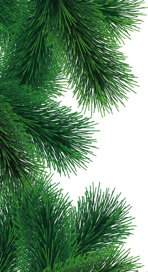 Free Christmas Tree Branch Png Download Free Christmas Tree Branch Png
