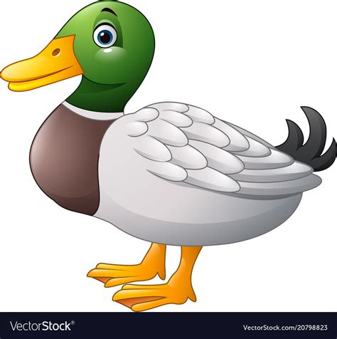 Cute Cartoon Duck Royalty Free Vector Image Vectorstock