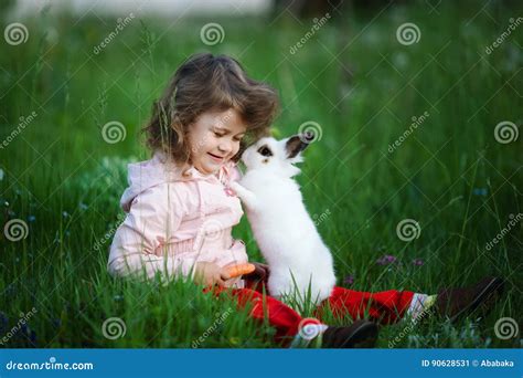 Cute Little Girl With White Rabbit Stock Image Image Of Farm