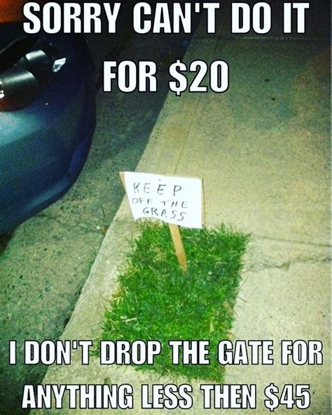 who else feels this way 😂 lawn lawncareservice lawnmaintenance lawncare greenpal lawn