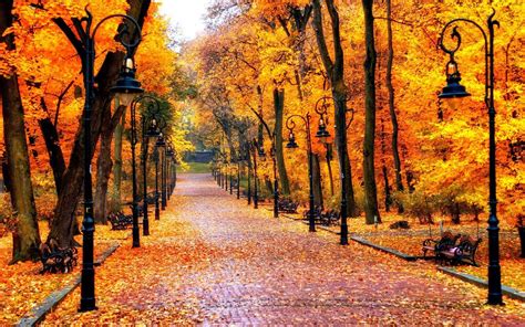 Autumn Wallpapers Top Những Hình Ảnh Đẹp