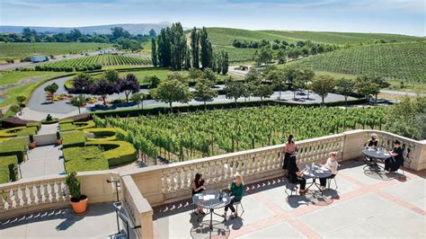 Domaine Carneros Northbay Biz