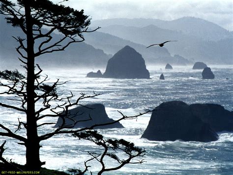 Free Oregon Coast Wallpaper Wallpapersafari