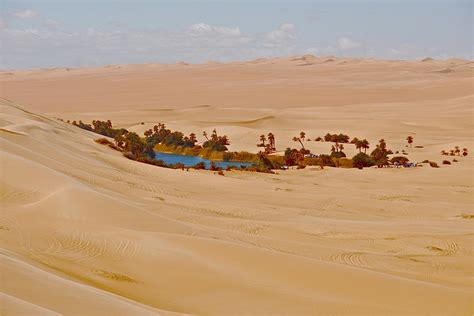 Picture Sahara Oasis Desert Nature Sand