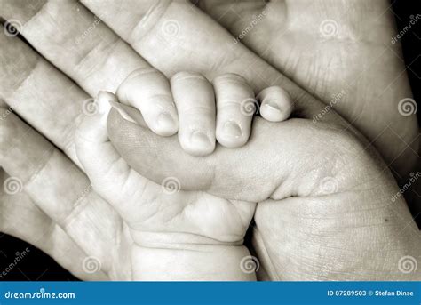 Baby Hand Holding By Adults Stock Image Image Of Hand Human 87289503