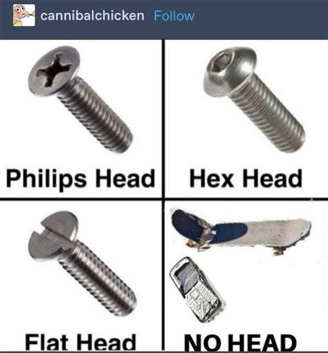 Four Different Types Of Screws With Caption That Reads Phillips Head Hex Head Flat Head No Head