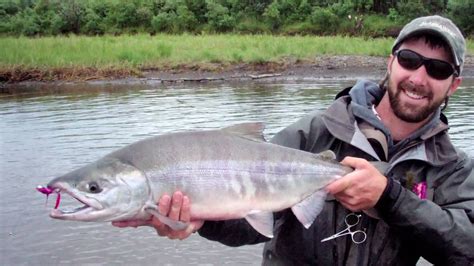 Fly Fishing Alaskan Pacific Salmon Leland Fly Fishing Outfitters