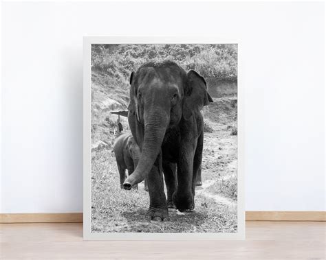 Elephant Print Black And White Elephant Wall Art Bw Etsy Elephant