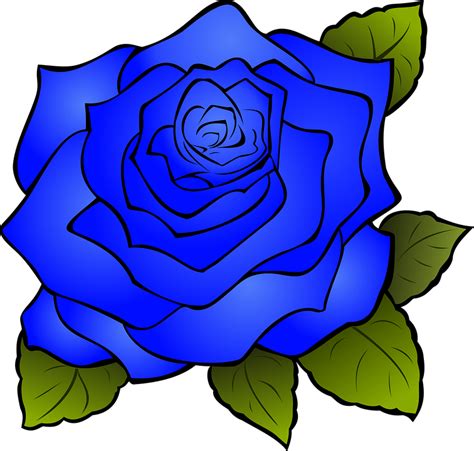 장미 꽃 파란색 파란 Pixabay의 무료 벡터 그래픽