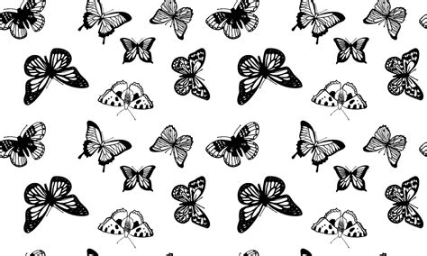 Black And White Butterfly Wallpapers Top Free Black And White