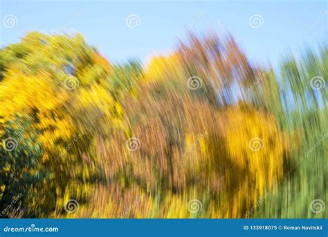 Blurred Abstract Background Of Autumn Leaves On Trees In Motion The